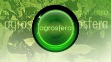 imagen: Agrosfera