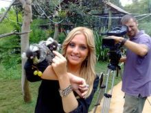 imagen: Animales en familia