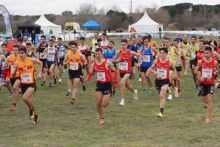 imagen: Atletismo - Campeonato de España de cross: Almodovar del Río, Córdoba