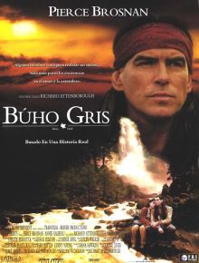 Búho Gris imagen: Búho Gris