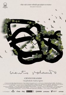 Ciento volando imagen: Ciento volando