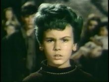 imagen: El muchacho de los cabellos verdes