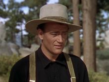 imagen: El pastor de las colinas