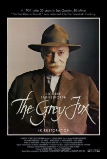 El zorro gris imagen: El zorro gris