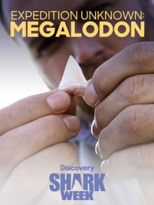imagen: Expedición al pasado: megalodón