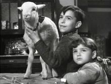 imagen: Felices Pascuas