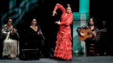imagen: Foro flamenco