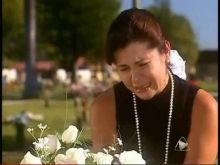 imagen: Gata salvaje