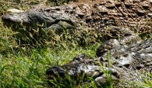 imagen: Grandes documentales