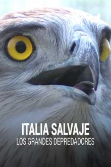 imagen: Italia salvaje. Los grandes depredadores