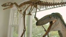 imagen: Jurassic Cash