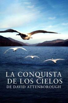 imagen: La conquista de los cielos de David Attenborough