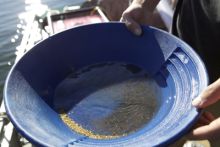 La fiebre del oro imagen: La fiebre del oro