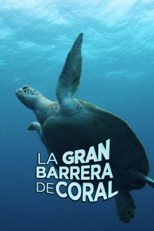 imagen: La Gran Barrera de Corall