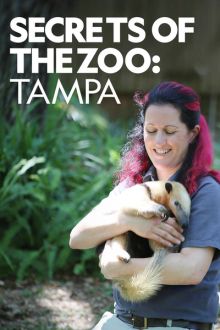 Los secretos del zoo: Tampa imagen: Los secretos del zoo: Tampa