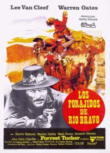Mad West: Los forajidos de Río Bravo imagen: Mad West: Los forajidos de Río Bravo