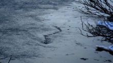 imagen: Monstruos de río: La leyenda del Lago Ness