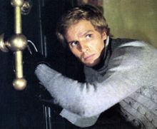 imagen: Pájaros de ciudad