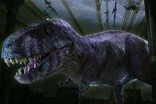 Redescubriendo el T-Rex imagen: Redescubriendo el T-Rex