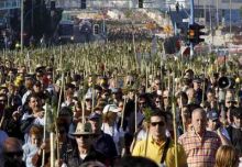 imagen: Romeria de la Santa Faç