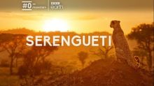 imagen: Serengueti