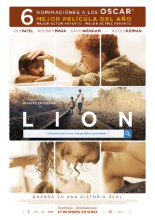 imagen: Sesión de tarde: Lion