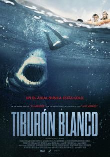 imagen: Tiburón blanco