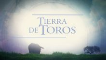 imagen: Tierra de toros