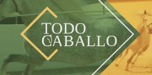 Todo caballo imagen: Todo caballo