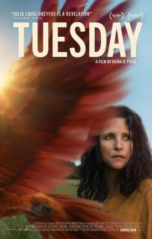 imagen: Tuesday