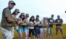 imagen: Un món bestial