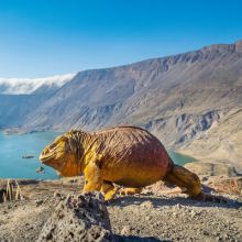 imagen: Un planeta perfecte