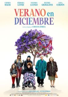 Verano en diciembre imagen: Verano en diciembre