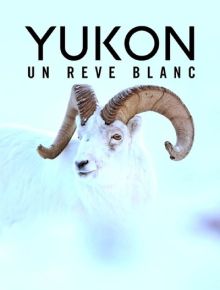 imagen: Yukon, un sueño invernal