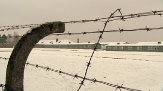 imagen: Adiós a la vida