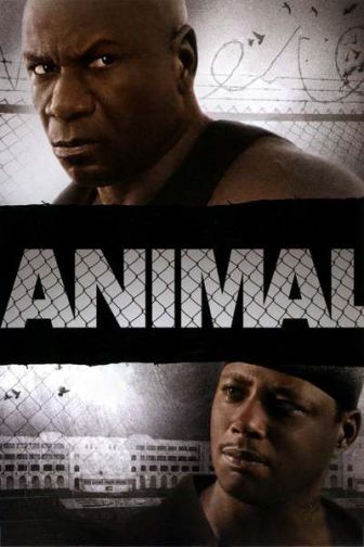 imagen: Animal