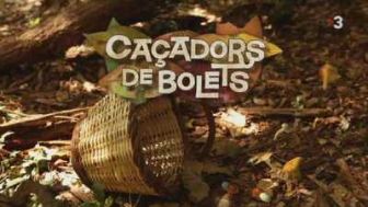 imagen: Caçadors de bolets