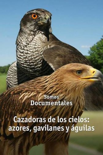 imagen: Cazadoras de los cielos: azores, gavilanes y águilas