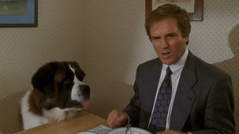 imagen: Cine de tarde: Beethoven, uno más de la familia