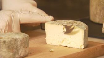 imagen: Collita pròpia