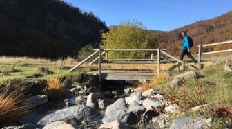 imagen: Colores del Pirineo
