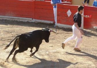 imagen: Concurso de recortadores
