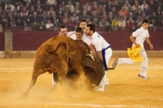 imagen: Concurso de roscaderos