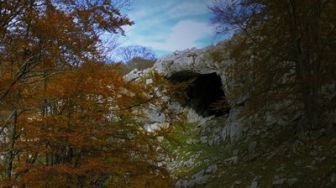 imagen: De santos, vírgenes y brujas