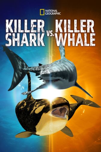 imagen: Depredadores del océano: Tiburón vs. Orca