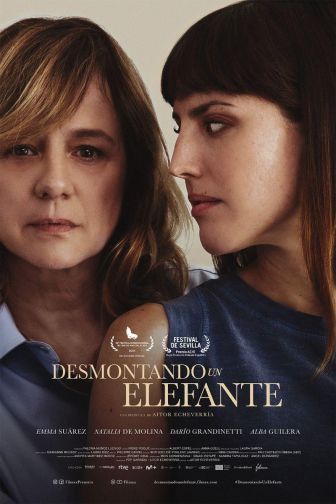 imagen: Desmontando un elefante