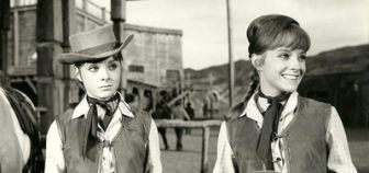 imagen: Dos pistolas gemelas