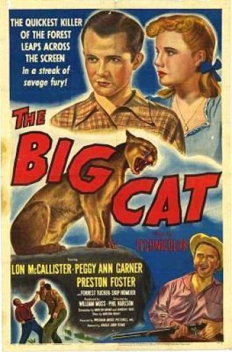 imagen: El gran gato