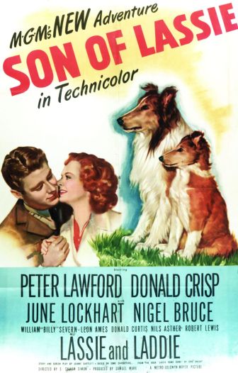 imagen: El hijo de Lassie