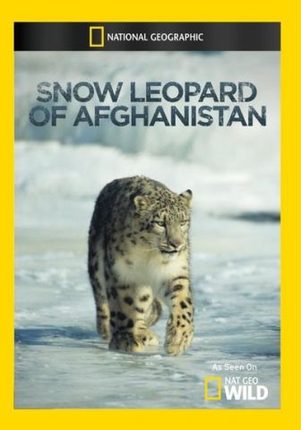 imagen: El leopardo de las nieves de Afganistán